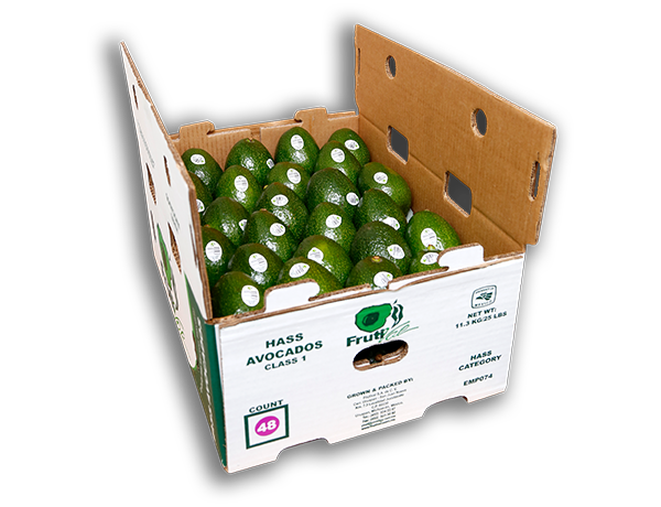Frutival Aguacates y fruta empacada de alta calidad Empaque 11Kg