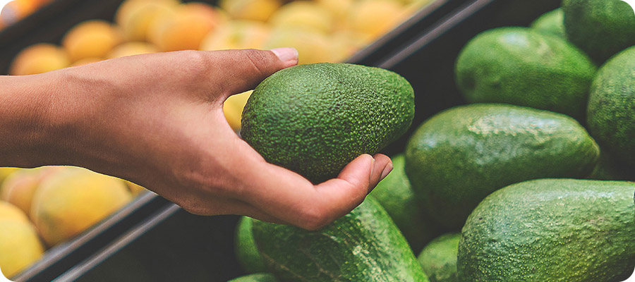 Frutival Aguacates y fruta empacada de alta calidad Proceso Comercializacion