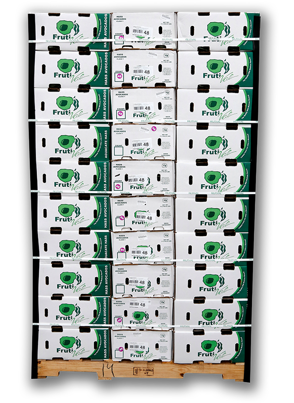 Frutival Aguacates y fruta empacada de alta calidad Proceso Pallet 11KG