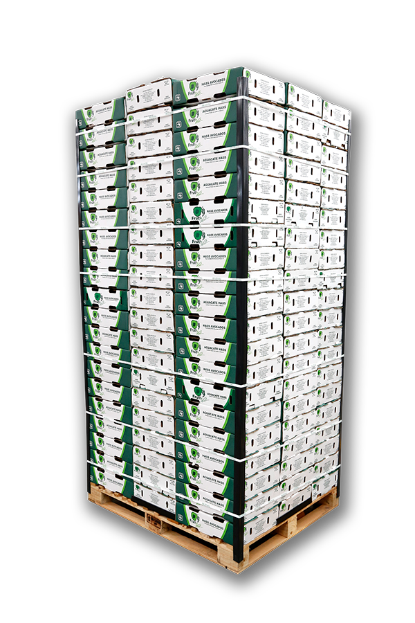 Frutival Aguacates y fruta empacada de alta calidad Proceso Pallet 4KG