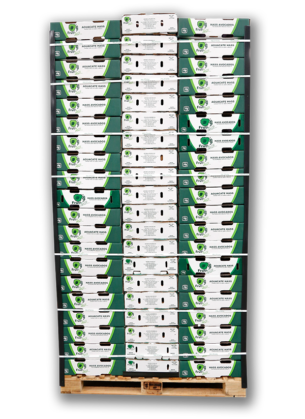 Frutival Aguacates y fruta empacada de alta calidad Proceso Pallet 6KG