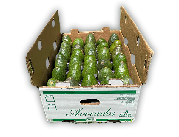 Frutival Aguacates y fruta empacada de alta calidad Empaque Choice
